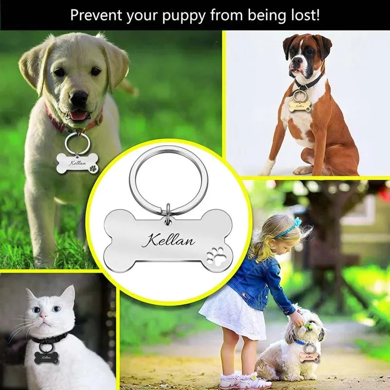 Engraved Pet ID Name for Cat Puppy Dog - ProPawPet.com