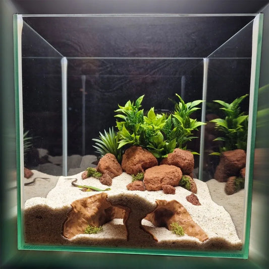 Ecological Simulation Rock Cave - Aquarium - ProPawPet.com