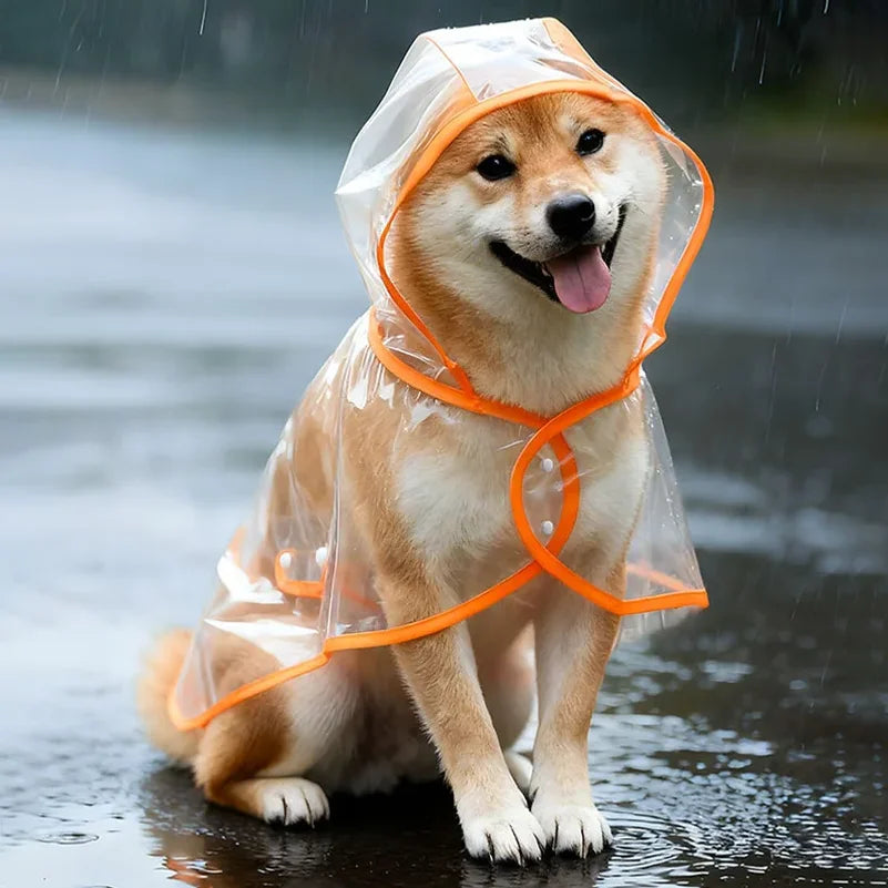Pet Raincoat Transparent Dog Raincoat - ProPawPet.com