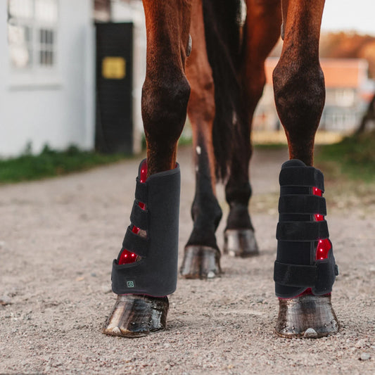 Horse Infrared Laser Therapy Pad Equine - ProPawPet.com