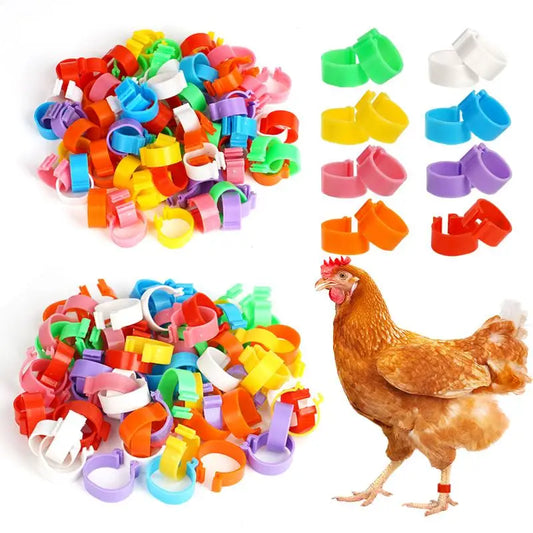 60Pcs 16/20Mm Chicken Duck Leg Rings Goose - ProPawPet.com