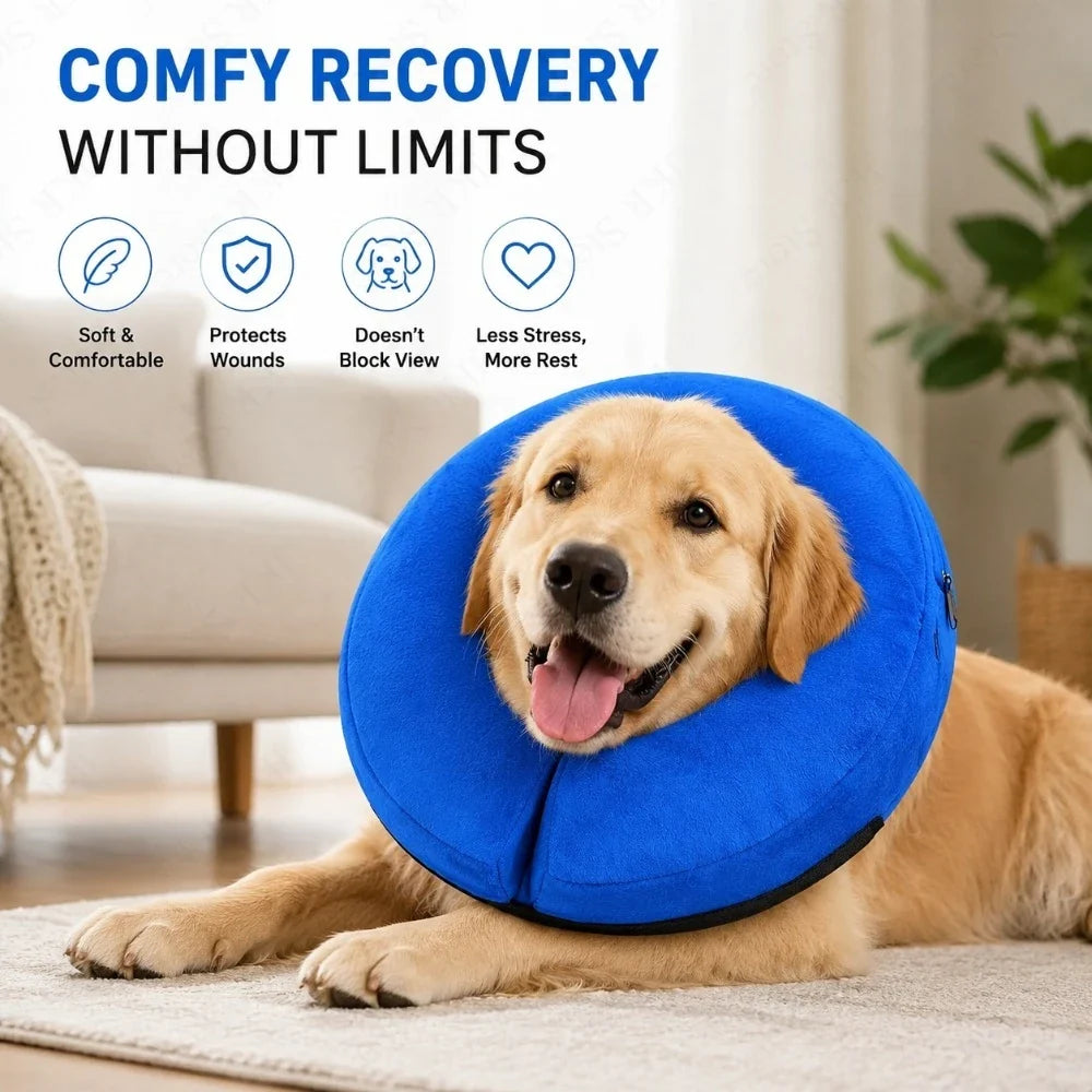Inflatable Dog Recovery Collar Soft - ProPawPet.com