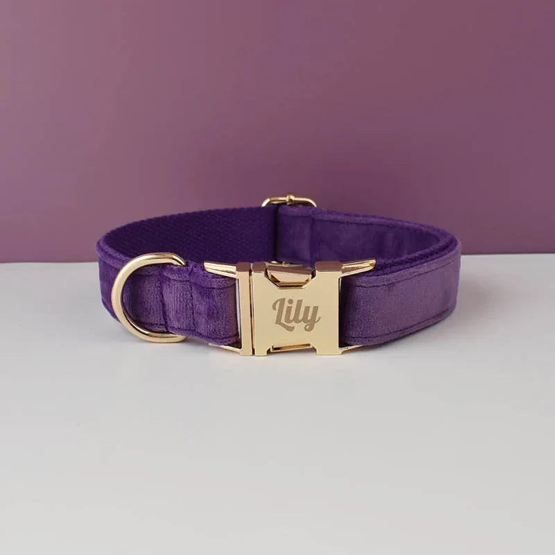 Purple Velvet Dog Collar And Leash Set For - ProPawPet.com