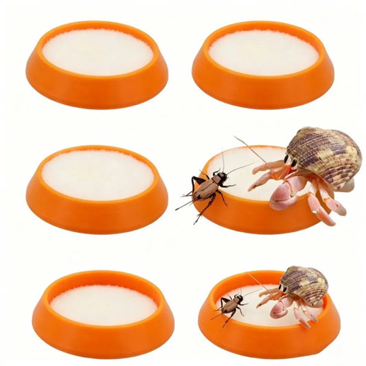 6pcs Portable Reusable Reptile Feeding Dish - ProPawPet.com