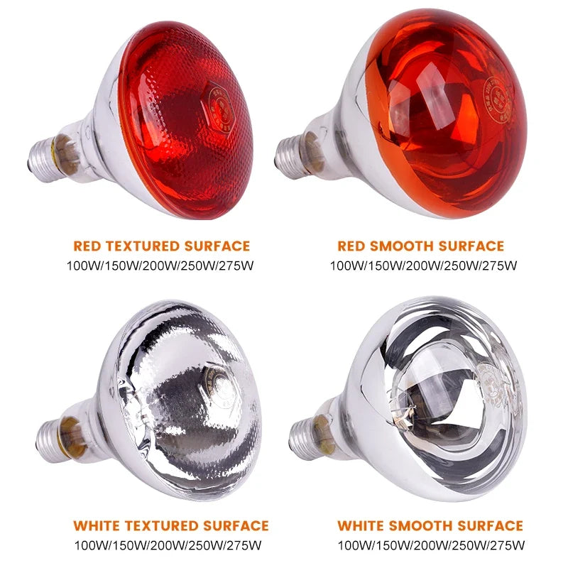 220V Heating Light Bulb Poultry Reptile - ProPawPet.com