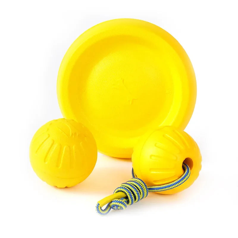 EVA Pet Toy Ball Dog Floating Ball Training - ProPawPet.com