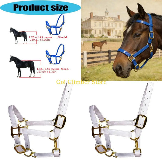 Q84C Quality Fashionable Leather Horse - ProPawPet.com
