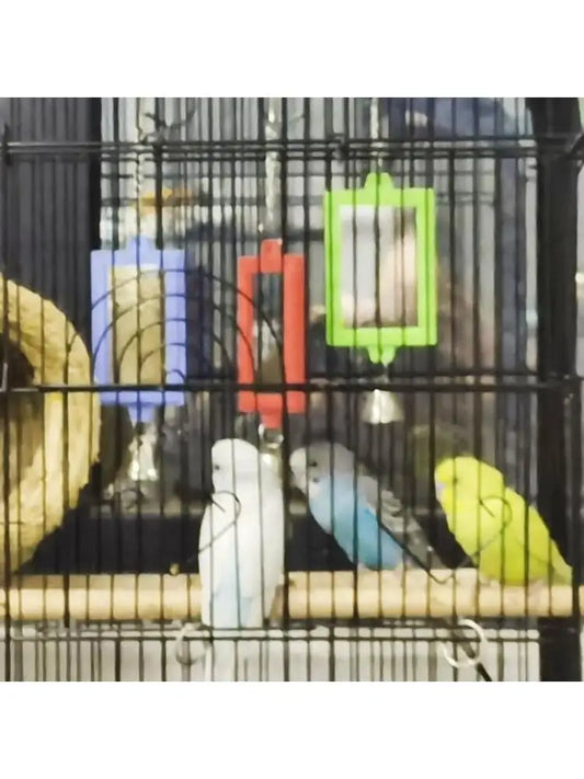 Parrots Mirror Toy with Bells Metal Hanging - ProPawPet.com