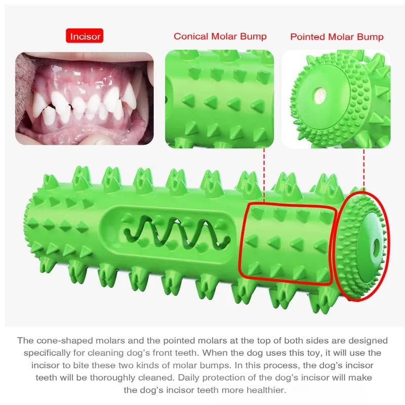 Hot Selling Squeaky Dog Toy Molar Stick - ProPawPet.com