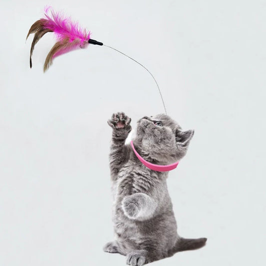 Pet Collar Teasing Stick Cat Self Fun - ProPawPet.com