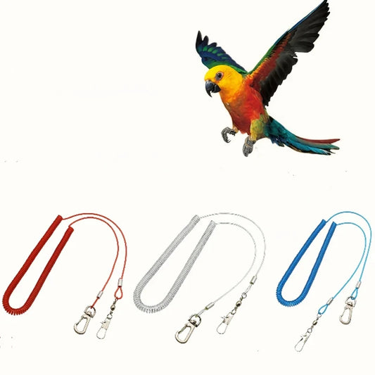 300cm Bird Outdoor Flight Training Leash, - ProPawPet.com