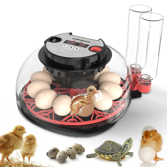 100-240V with Flashlight for Automatic 12H - ProPawPet.com