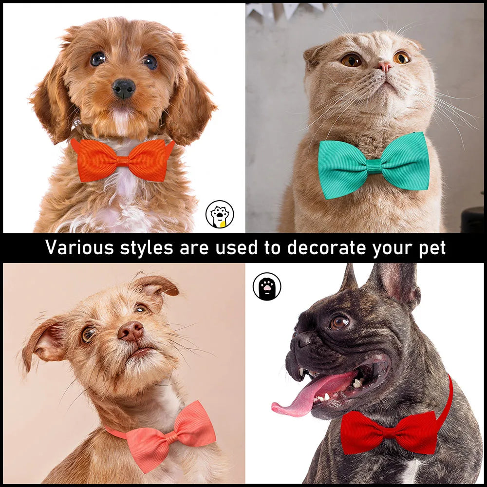 Bulk Solid Small Dog Bowtie Pet Dog Bow Ties - ProPawPet.com