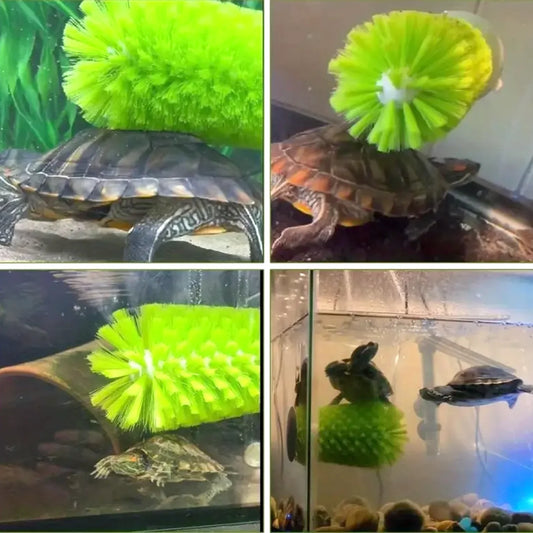 Amphibian Friendly Turtle Back Scrub Brush - ProPawPet.com