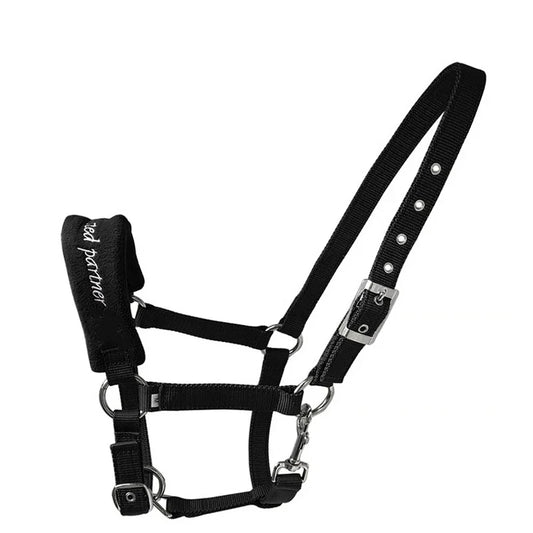 New Equestrian Halter Anti-Wear Adjustable - ProPawPet.com