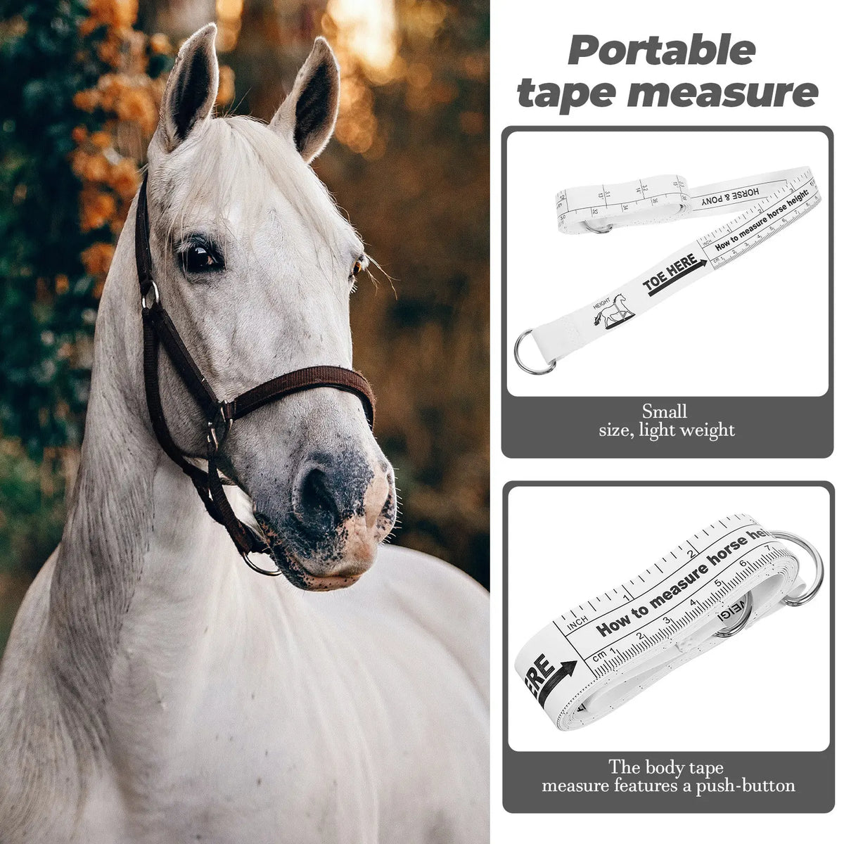 Professional Horse Tape Measure Small - ProPawPet.com