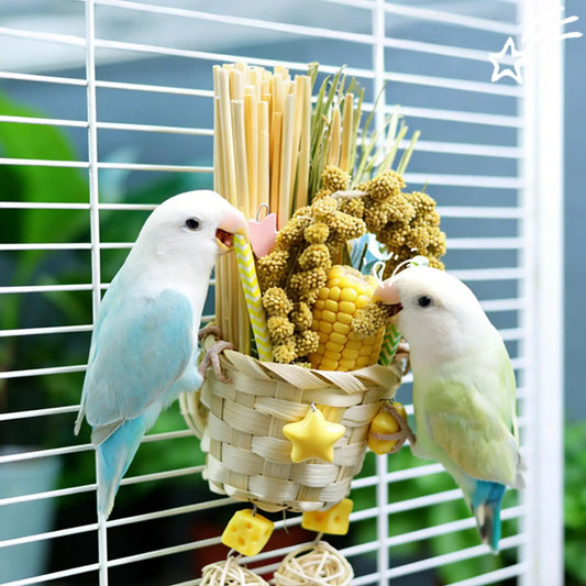 Bird Foraging Toys For Foraging Shredding - ProPawPet.com