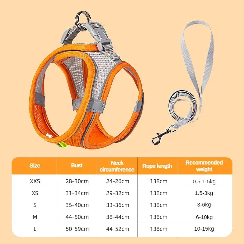 Cats Dog Accessories Small Dog Collar Safety - ProPawPet.com
