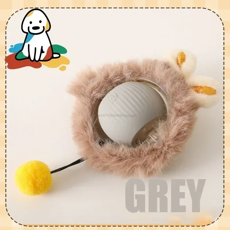 Interactive Rolling Cat Ball Dog Toy Rolling - ProPawPet.com