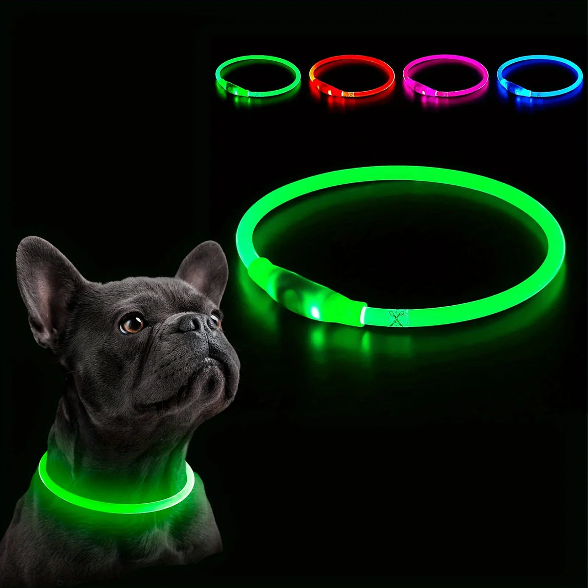 Pet Dog Cat LED Light Collar Luminous - ProPawPet.com