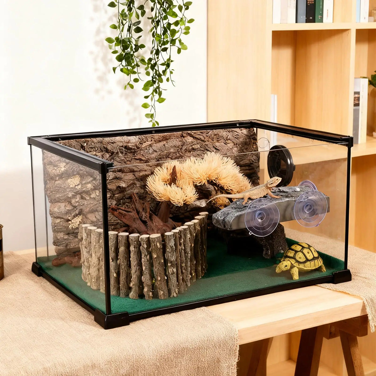 Resin Turtle Basking Platform Suction Cup - ProPawPet.com