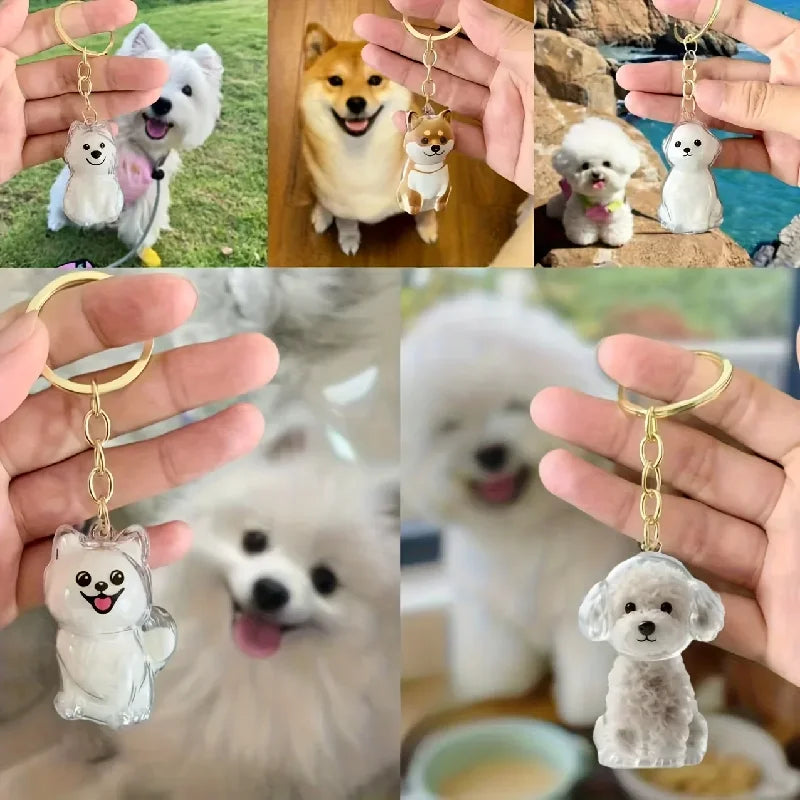 Transparent Pet Hair Capsule Keychain Dog - ProPawPet.com