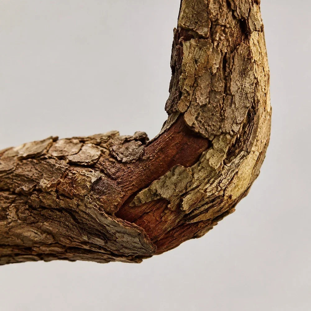 Reptile Arboreal Wood Habitat Fish Tank - ProPawPet.com