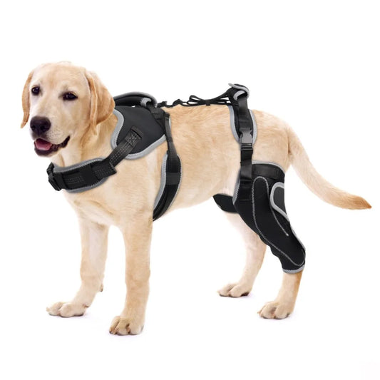 Reduces Pain Hind Leg Dog Leg Brace - ProPawPet.com