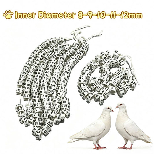 2027 EU Plastic EE DV Bird Pigeon Leg Rings, - ProPawPet.com