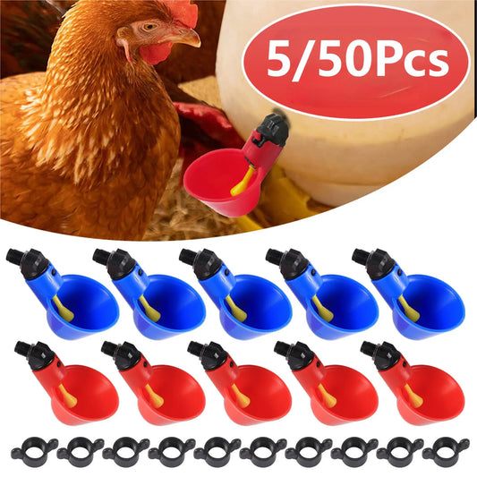 5/50 Pcs Chicken Quail Automatic Drinking - ProPawPet.com