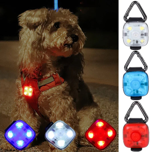 3 Modes Flashlight Pet Luminous Pendant Led - ProPawPet.com