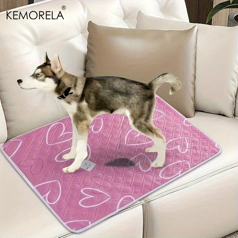 2PCS Extra Large Reusable Pet Pee Liner - ProPawPet.com