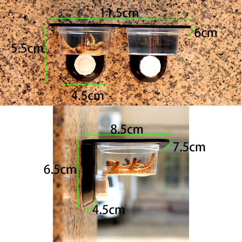 Reptile Tank Accessories Insect Spider Ants - ProPawPet.com