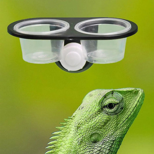 Gecko Food Bowl Water Dish for Reptile Tank - ProPawPet.com