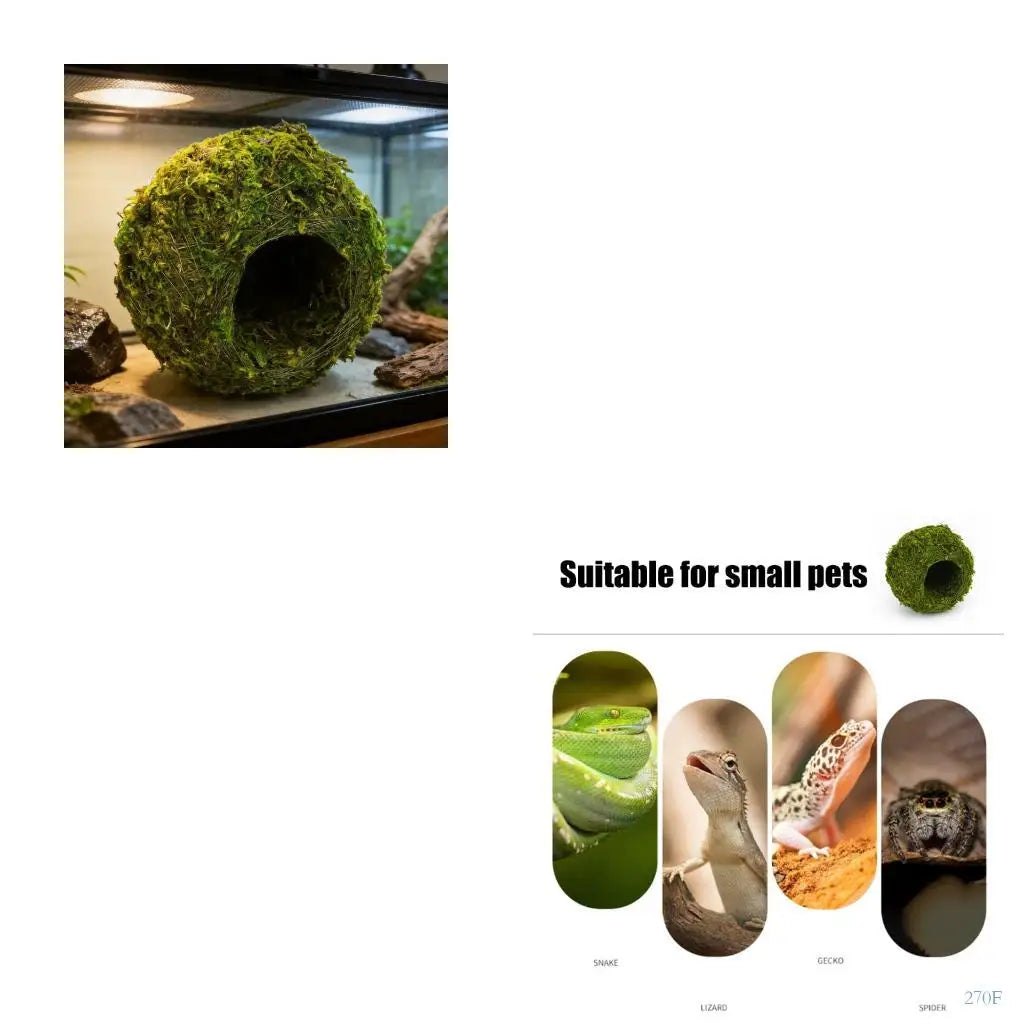 270F Grass Woven Reptiles Hide Cave Handmade - ProPawPet.com