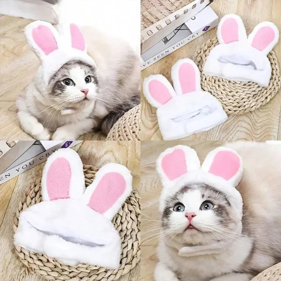 Pet Hat Cat Headgear Lion Rabbit Ears Dog - ProPawPet.com