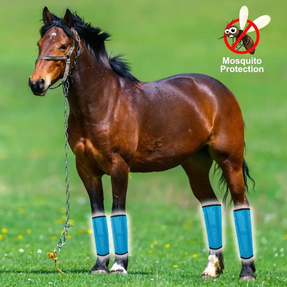 4Pcs Summer Horse Fly Boots Breathable - ProPawPet.com