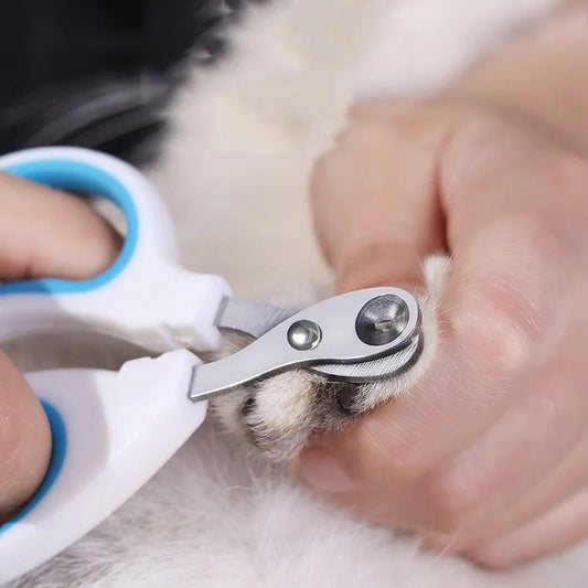 Puppy Nail Clippers Cat Claw Scissors for - ProPawPet.com