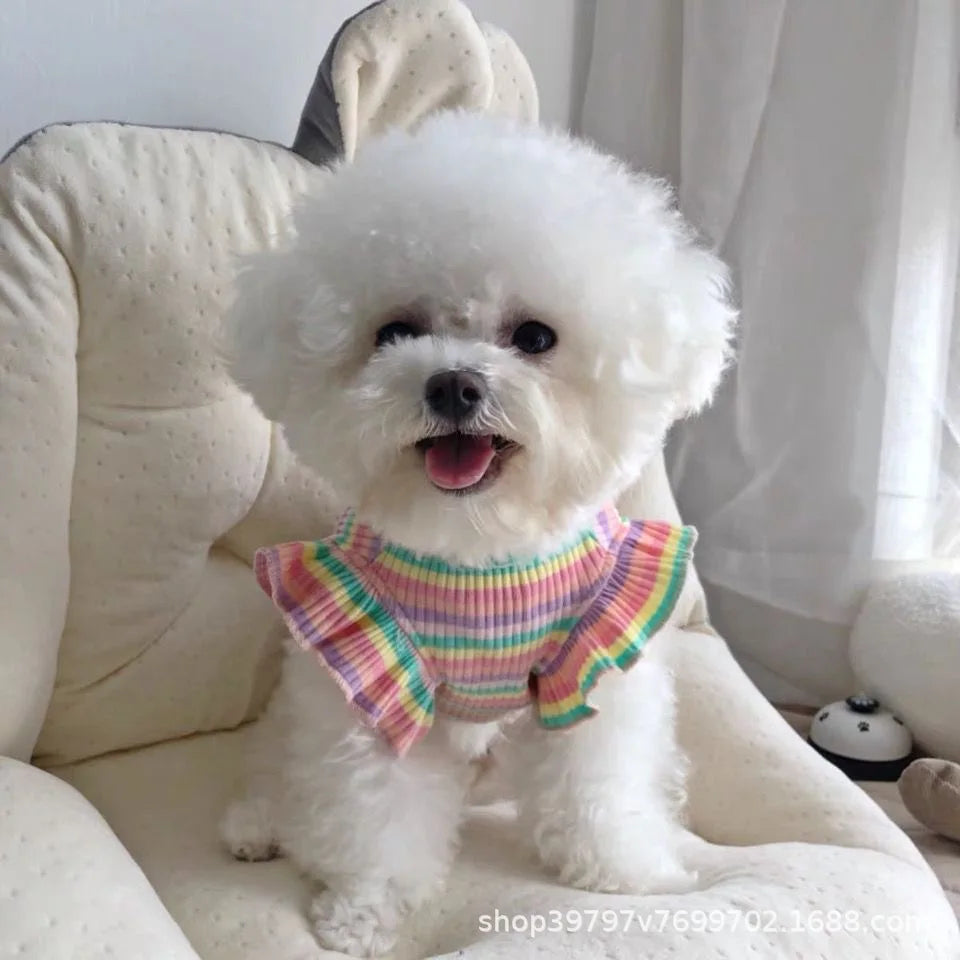 New Rainbow Striped Pet Dog Cat Summer Ins - ProPawPet.com