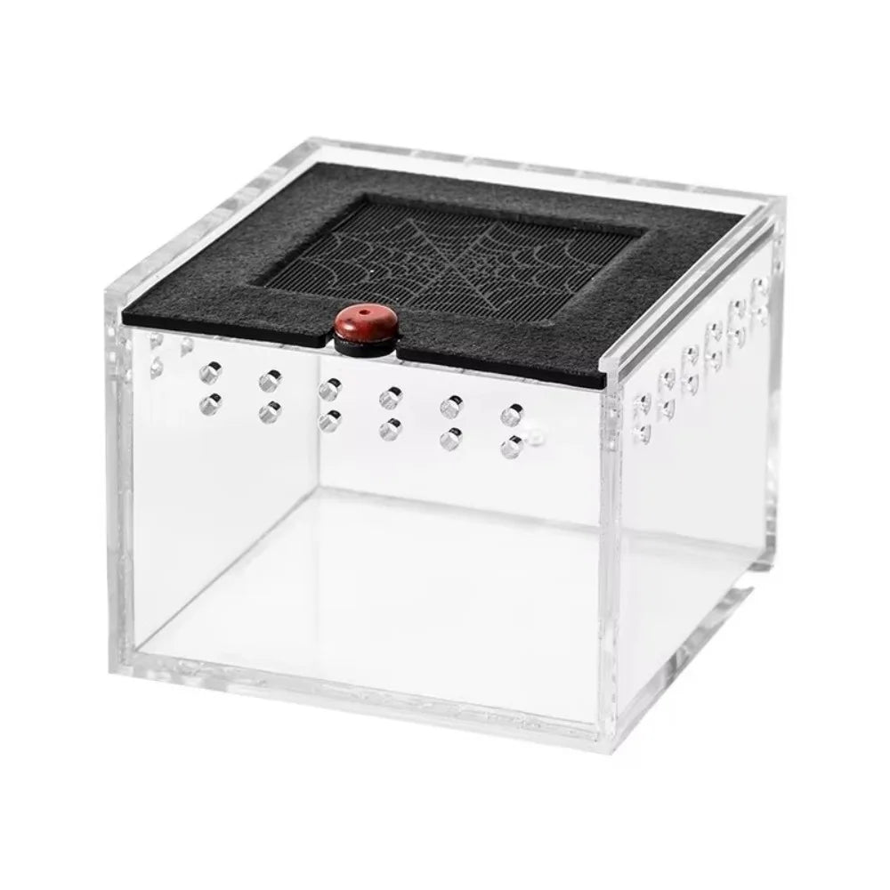 Black Reptile Keeping Box Acrylic Clear View - ProPawPet.com