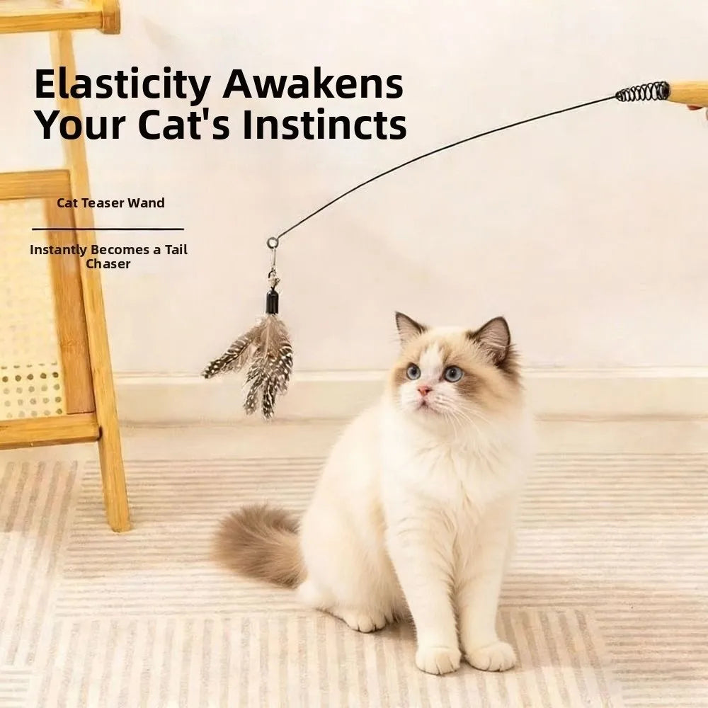 Wooden Handle Spring Teasing Cat Stick - ProPawPet.com