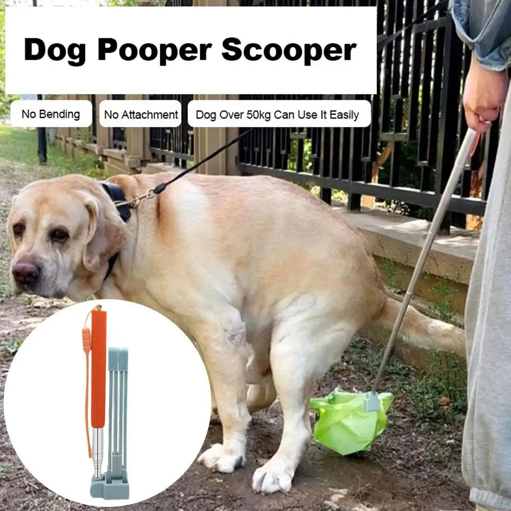 28.7-inch Long Handle Steel Dog Cat Pet Poop - ProPawPet.com