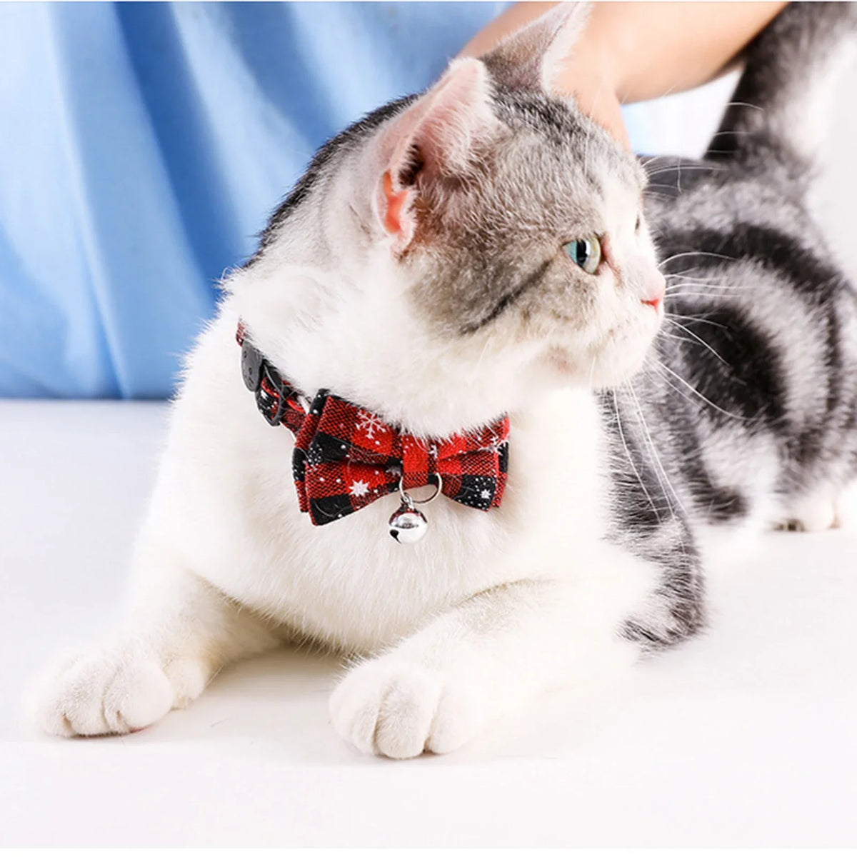 Pet Breakaway Cat Collar Bow Tie And Bell - ProPawPet.com