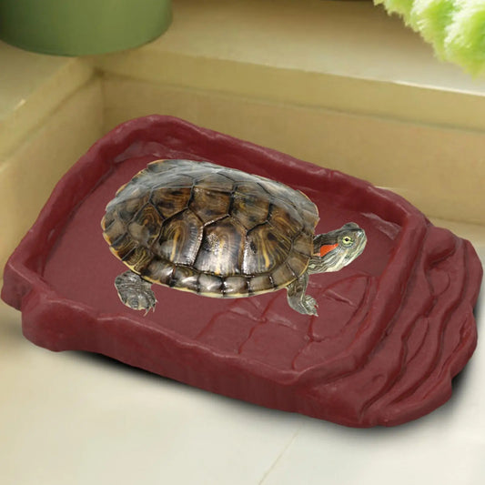 Anti-Slip Ladders Reptile Bowl Reptile - ProPawPet.com