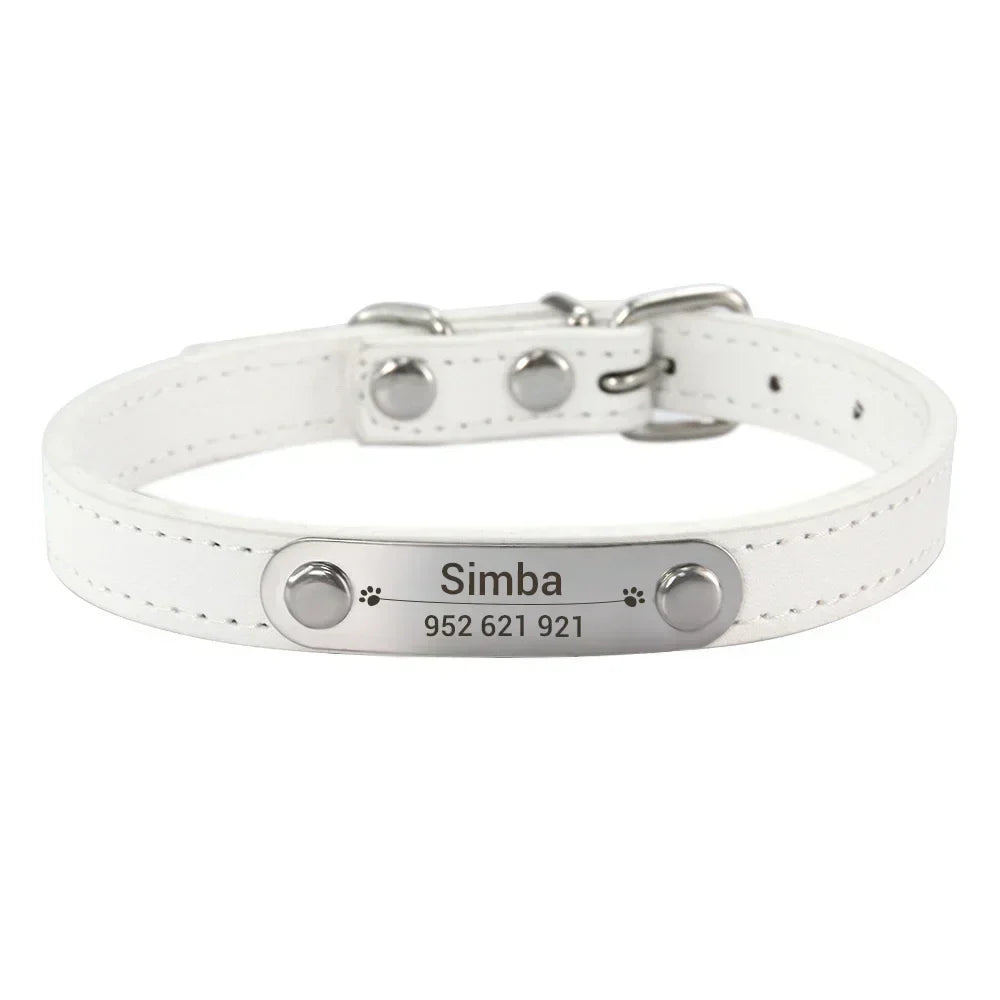 Personalized Dog Collar Name Carved ID - ProPawPet.com