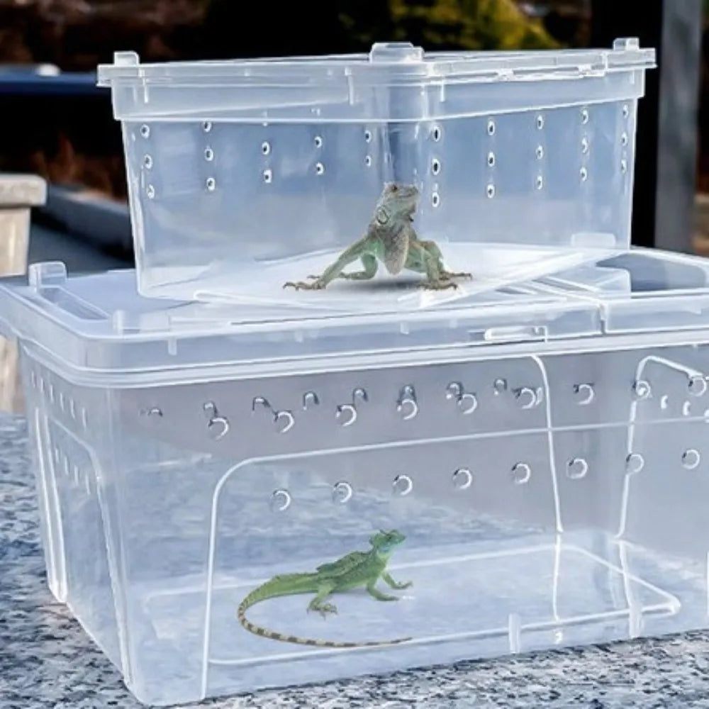 Transparent Reptile Breeding Box Stackable - ProPawPet.com