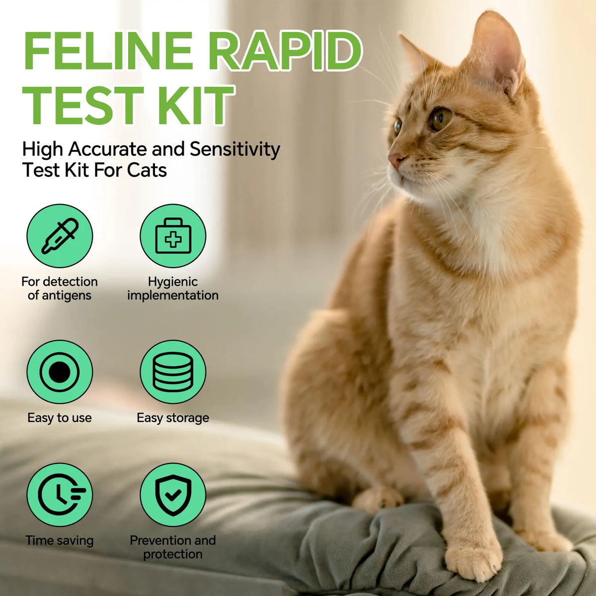 FeLV Feline Leukemia Rapid Test Kit 2 5 10 - ProPawPet.com