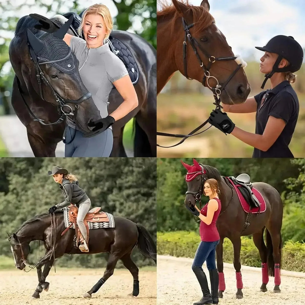 Lightweight Breathable Mesh Equestrian - ProPawPet.com