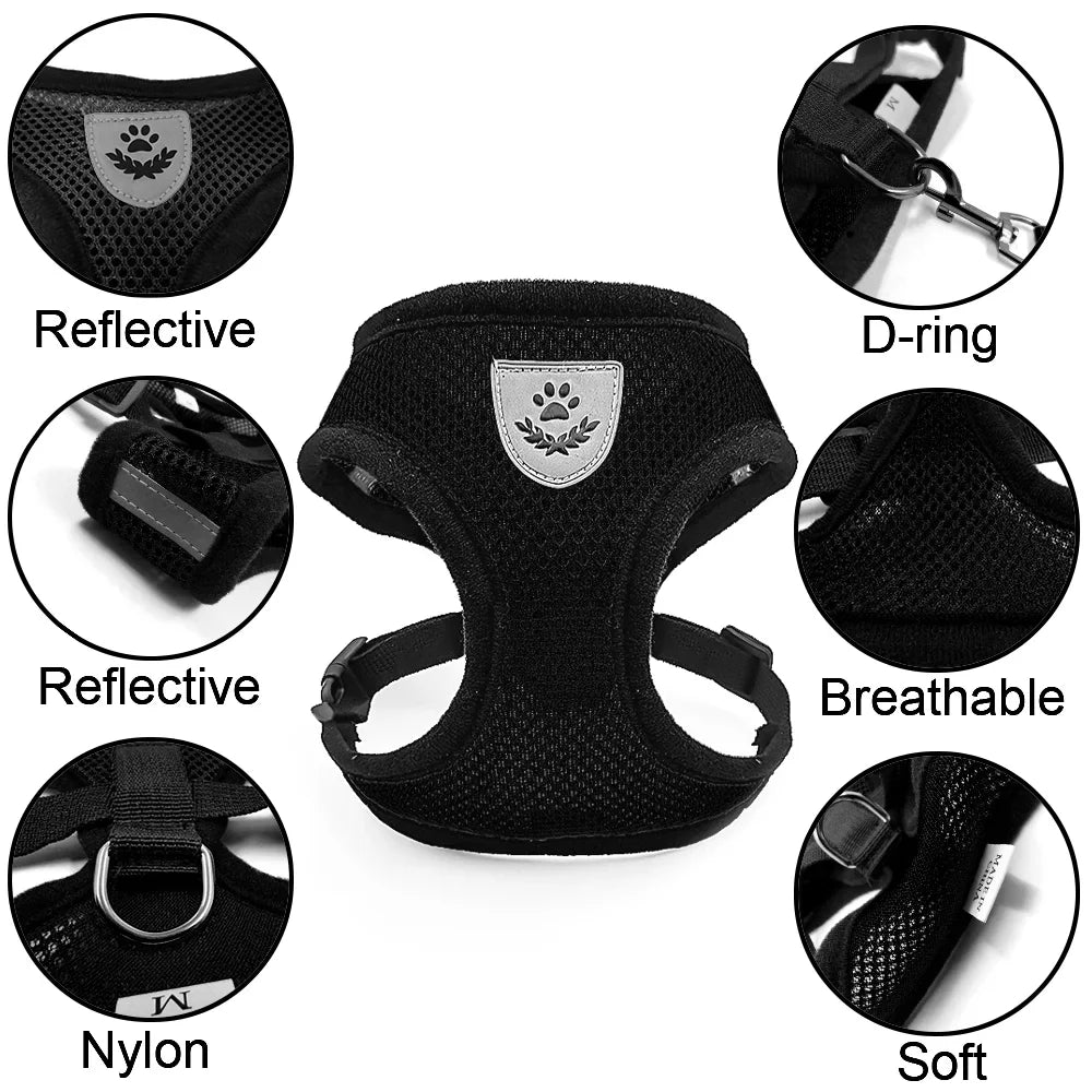 Adjustable Cat Dog Harness Leash Set - ProPawPet.com