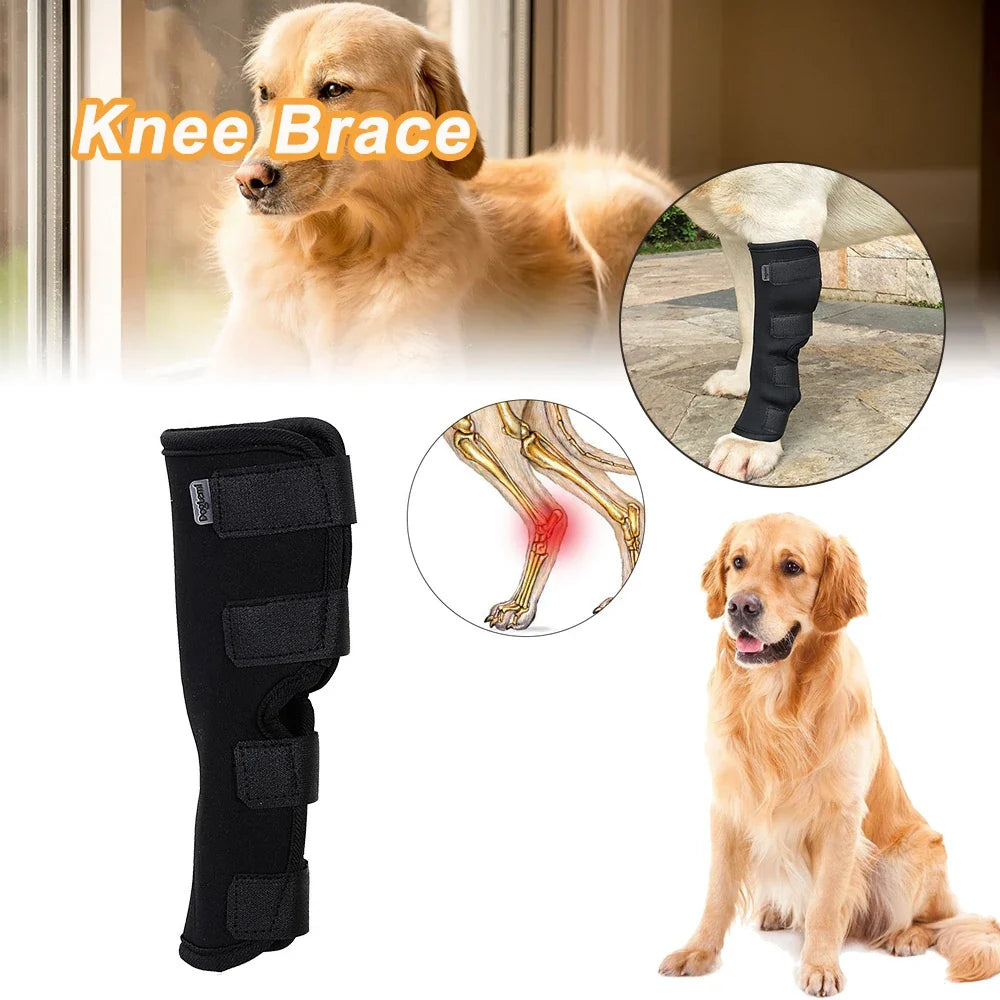 1 Pcs Breathable Dog Support Brace Joint - ProPawPet.com